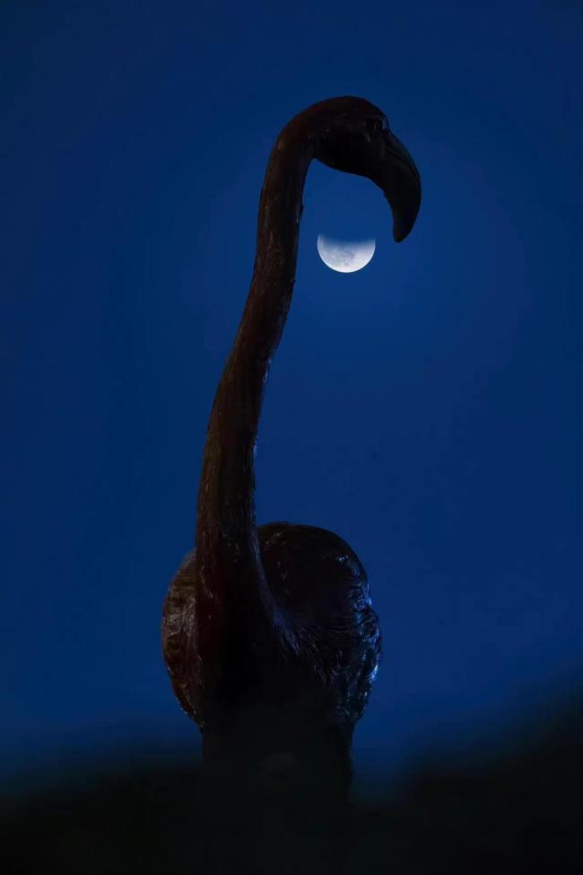 如诗的月影 是生活在对你微笑