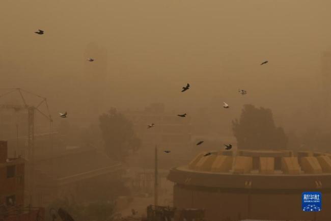 沙尘天气袭击开罗