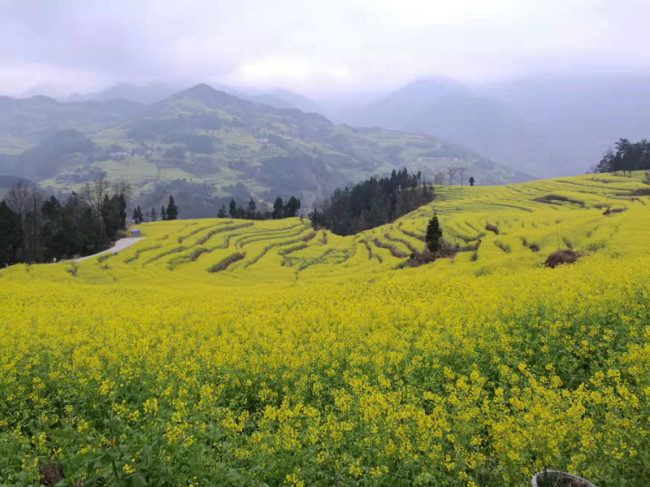 微信图片_20220108170048.jpg?x-oss-process=style/w10