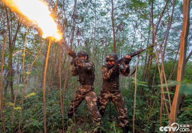 武警官兵实战化训练锤炼过硬本领