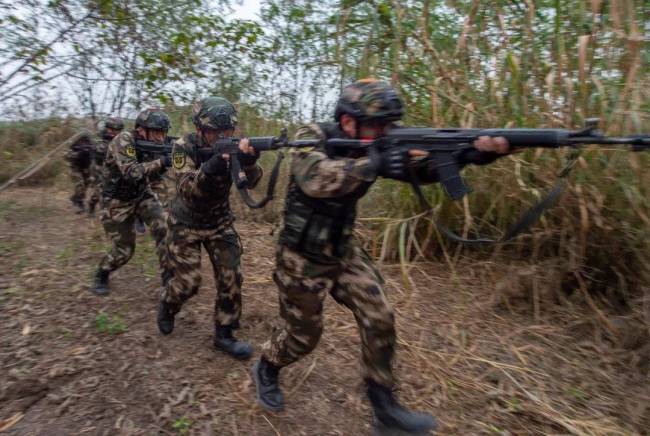 密林追“兇”來(lái)看武警官兵實(shí)戰(zhàn)演練有多猛