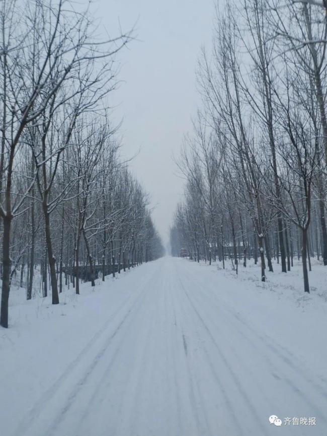大=͟͟͞͞雪=͟͟͞͞！明天北方降雪将再度增强