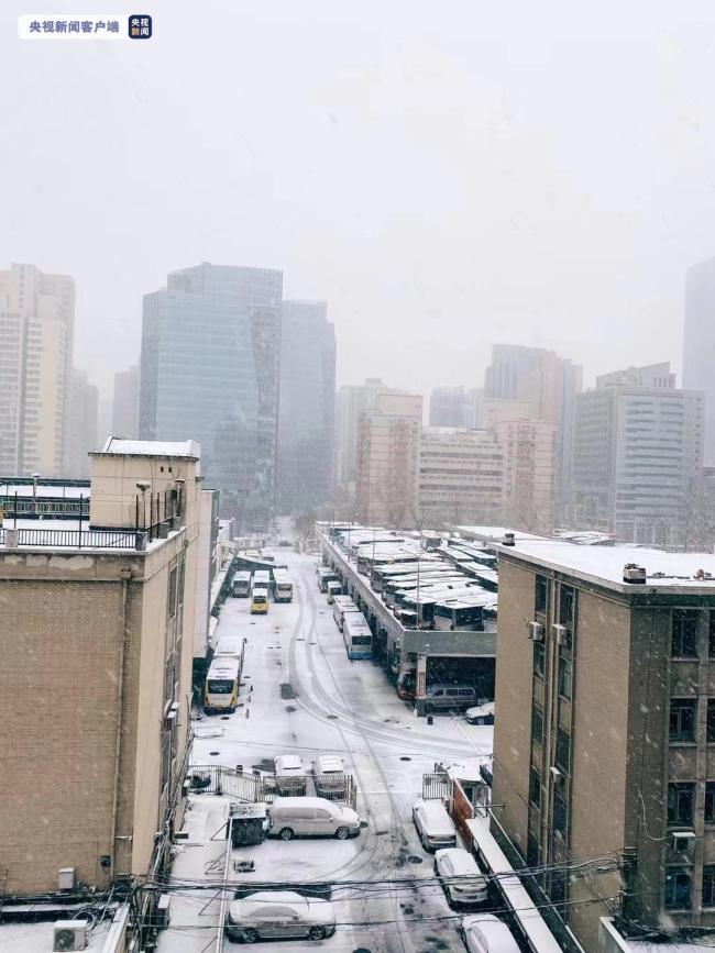 北京迎虎年首场降雪 看雪中的冰墩墩雪容融