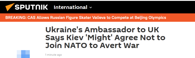 乌驻英大使称基辅"可能"同意不加入北约以避免战争