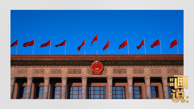 时政画说丨玉兰花开时