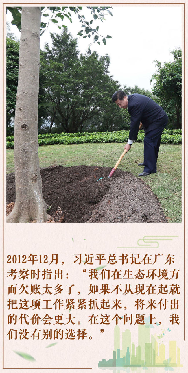 第1视点丨10年前，总书记种下一棵榕树