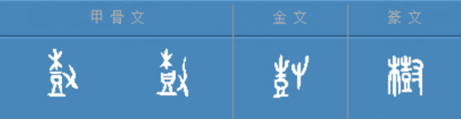 今天，很重要！