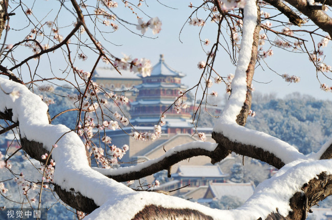 2022年3月19日，北京迎来晴朗天气，融融的春雪与盛开的春花一起扮靓了颐和园，吸引了众多游客。