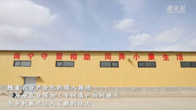 奋进新征程 建功新时代·伟大变革｜小杂粮的新生
