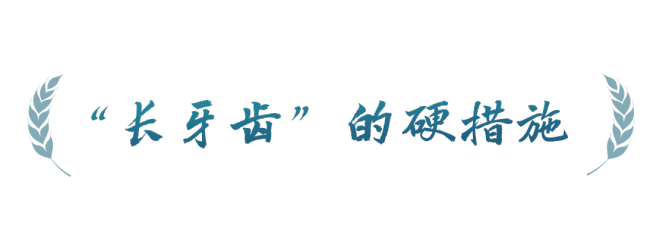 春事看农桑丨农田就是农田
