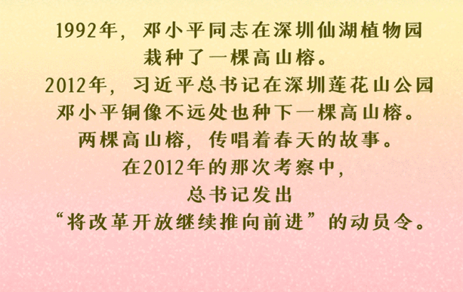 绘学习丨习近平与“树”的故事