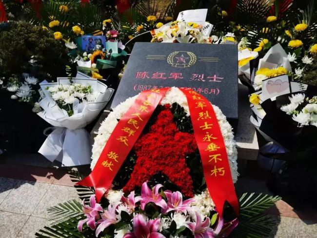 陈红军烈士墓前这张“全家福”，看哭了