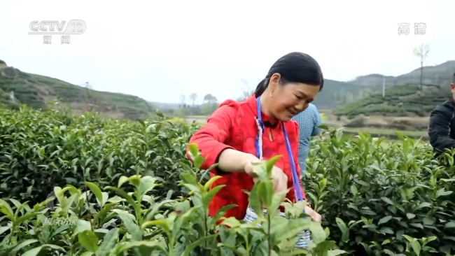 焦点访谈：缅怀·前行 不忘来时路 奋进新征程