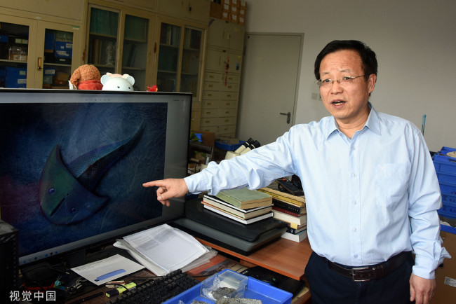 2022年4月18日，论文通讯作者赵文金研究员在北京办公室介绍“硕大西屯鱼”生态复原图。