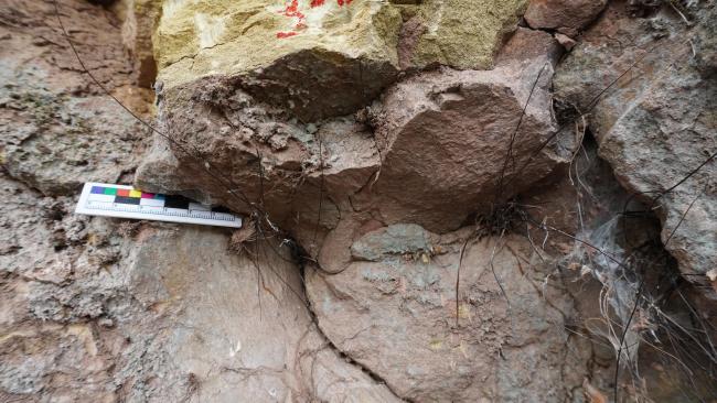 四川青龙山发现恐龙化石群