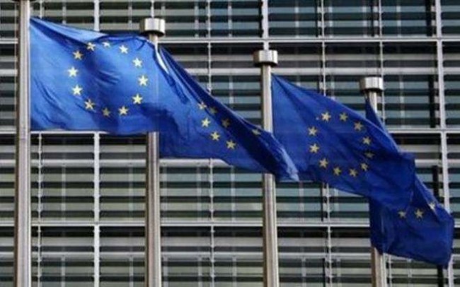 欧洲理事会主席：6月底将公布对乌加入欧盟的意见