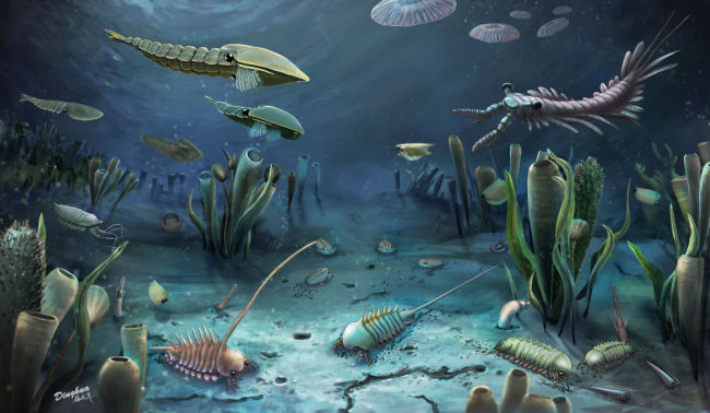远古化石群解开5亿年前动物的模样