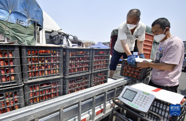 5月20日，商家在新发地市场搬运新鲜西红柿。