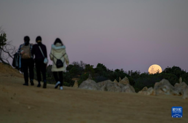 6月14日，人们在位于澳大利亚西澳大利亚州的尖峰石阵观赏“超级月亮”。