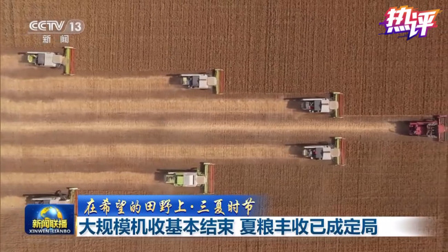 热评丨夏粮丰收来之不易，端牢端好“中国饭碗”