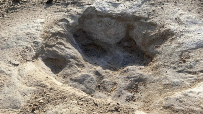 美國一公園發現1.13億年前的恐龍足跡