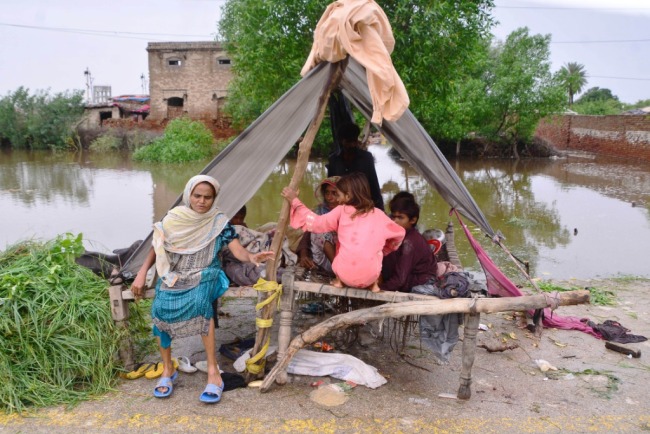 巴基斯坦洪灾已致近千人丧生