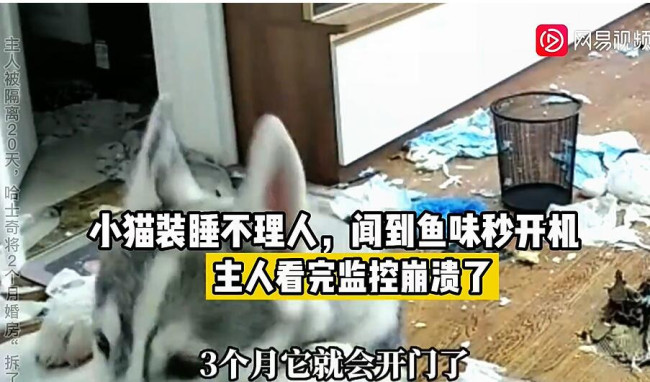 视频截图