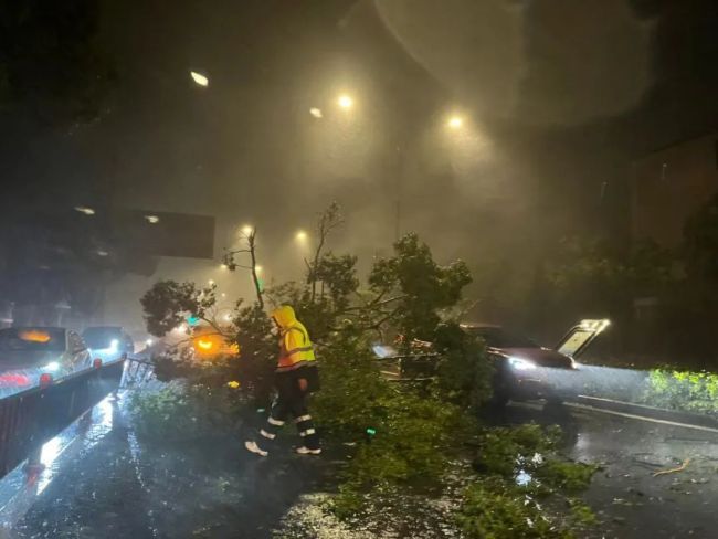 ▲14日晚，路边树木被台风刮倒，救援人员正疏通道路。受访者供图