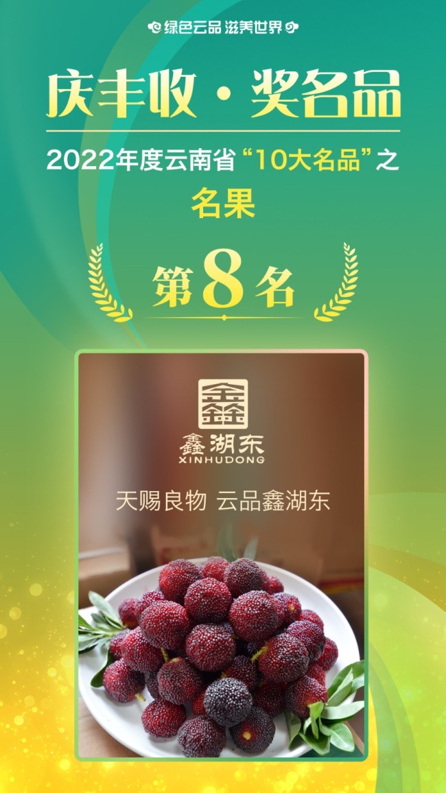 获得2022年云南省“10大名果”的是：红河州    石屏县湖东杨梅专业合作社    鑫湖东
