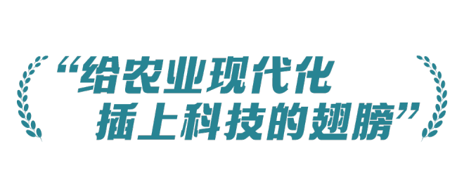 稻菽千重浪丨中国要强，农业必须强