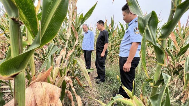 河南1岁男童玉米地失踪 上百警民搜寻36小时找回