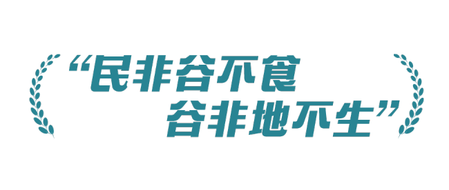 稻菽千重浪丨中国要强，农业必须强