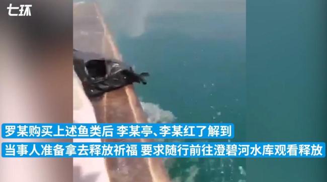 男子祈福买清道夫放生被罚2.8万！“清道夫”有何危害？