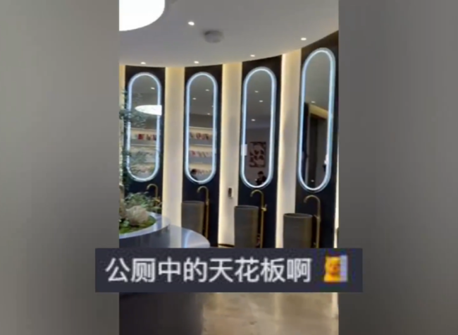 村公厕外表平平内部别有洞天 网友惊叹：公厕中的天花板啊