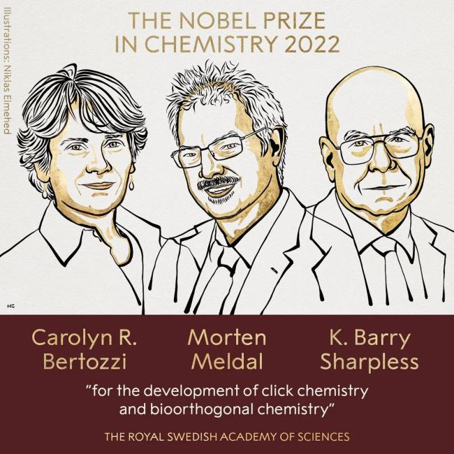 2022年诺贝尔化学奖获得者：Carolyn R. Bertozzi、Morten Meldal和K. Barry Sharpless