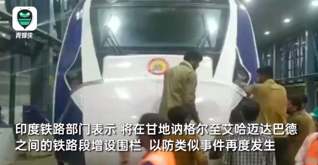 印度"半高铁"列车撞牛受损