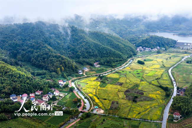 浙江安吉：秋雨迷蒙胜春景