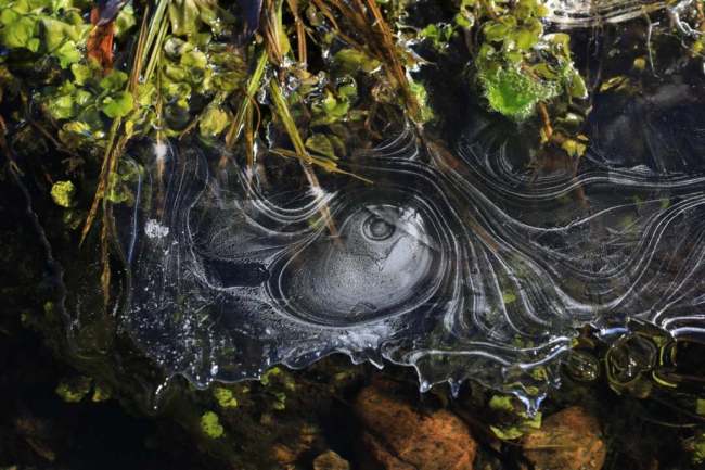 晚秋时节 内蒙古大兴安岭“开”冰花