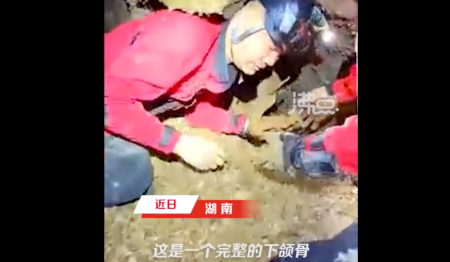 湖南120米深洞底发现大熊猫化石 是不是熊猫掉下去了