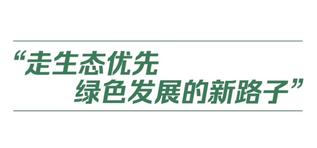 中国式现代化丨人与自然和谐共生