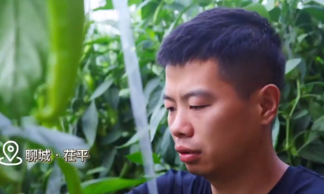 山东一村8090后全部回村就业，在外干一个月不如回村一天