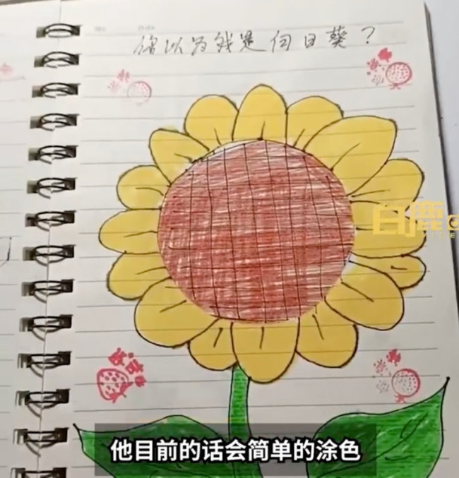 妈妈陪5岁儿子共绘猜猜绘本：内容丰富、构思巧妙