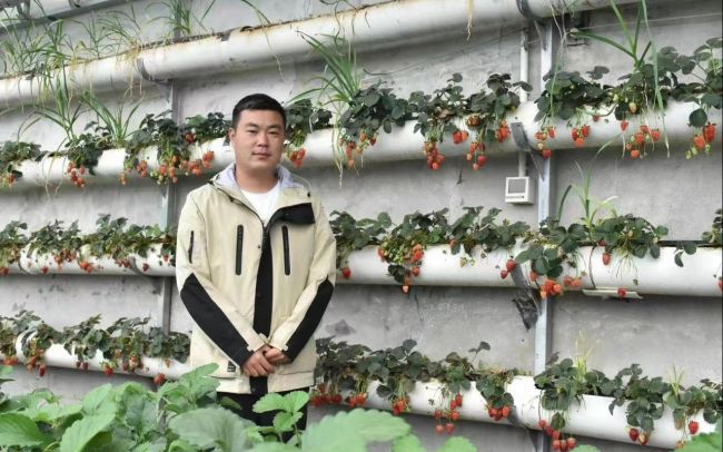 “农二代”开草莓合作社 在田间受到乡亲们认可
