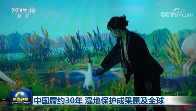 中国履约30年 湿地保护成果惠及全球