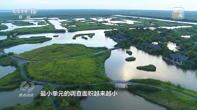 焦点访谈丨珍爱湿地 守护未来_新闻频道_中华网