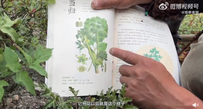 藏族父亲带4岁女儿爬山学本草纲目 网友：羡慕哭了