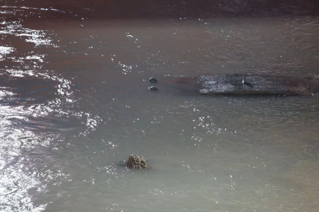 威尼斯人备用水下考古又一大发现：犹如“时空胶囊”