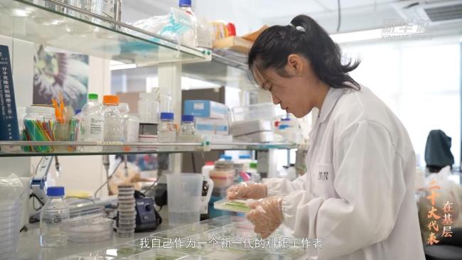 二十大代表在基层｜杨新泉：在南繁沃土上追光逐梦