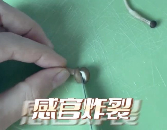 室友被子长蘑菇小伙帮忙剪掉，熬汤喝！震碎三观！
