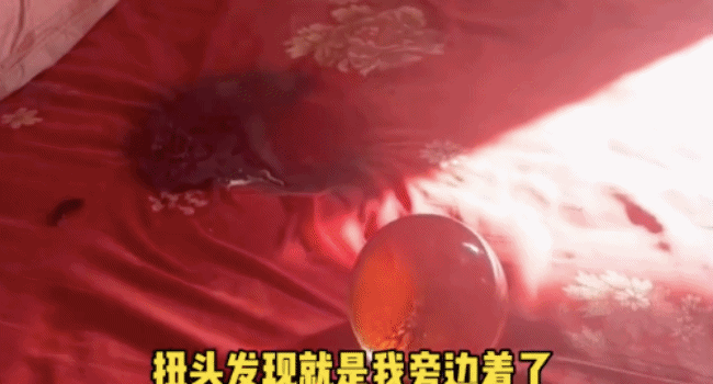 孩子把水晶球放床上烧穿三层床褥